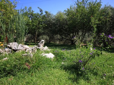 Apartment Apartments with parking space Orebić, Pelješac - 648 - Apartments with parking space Orebić, Pelješac - 648 - Outdoor photo 20