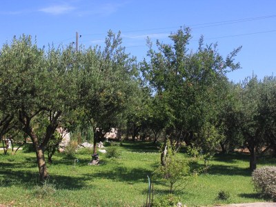 Apartment Apartments with parking space Orebić, Pelješac - 648 - Apartments with parking space Orebić, Pelješac - 648 - Outdoor photo 21