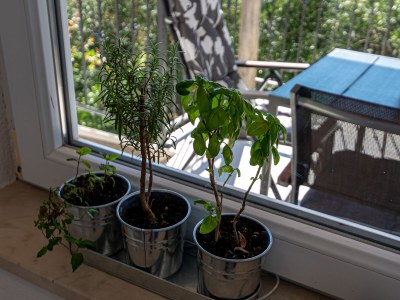 Apartment One bedroom apartment with terrace and sea view Orebić, Pelješac A-646-a - Outdoor photo 15