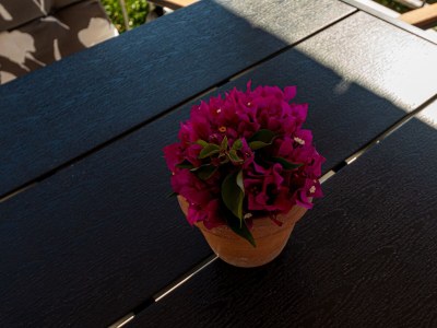 Apartment One bedroom apartment with terrace and sea view Orebić, Pelješac A-646-a - Outdoor photo 23