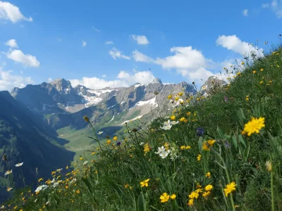 Holiday apartment Lechtal House Dietmar - Environment photo 21