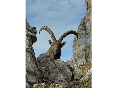 Holiday apartment Lechtal House Dietmar - Environment photo 24