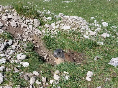 Holiday apartment Lechtal House Dietmar - Environment photo 25