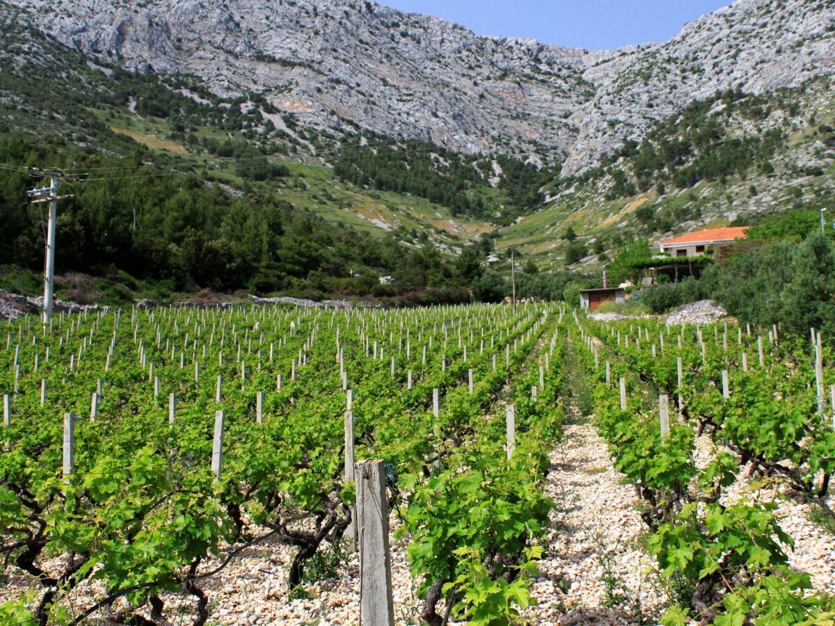 Apartment One bedroom apartment with terrace and sea view Ivan Dolac, Hvar A-592-c - Outdoor photo 5