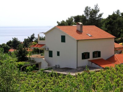 Apartment One bedroom apartment with terrace and sea view Ivan Dolac, Hvar A-592-c - Outdoor photo 4