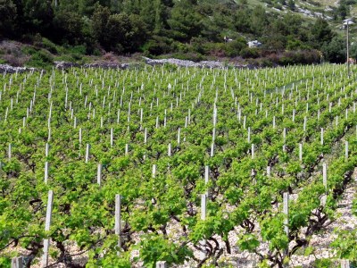 Apartment One bedroom apartment with terrace and sea view Ivan Dolac, Hvar A-592-c - Outdoor photo 6