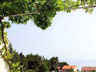 Apartment One bedroom apartment with terrace and sea view Ivan Dolac, Hvar A-592-c - Outdoor photo 18