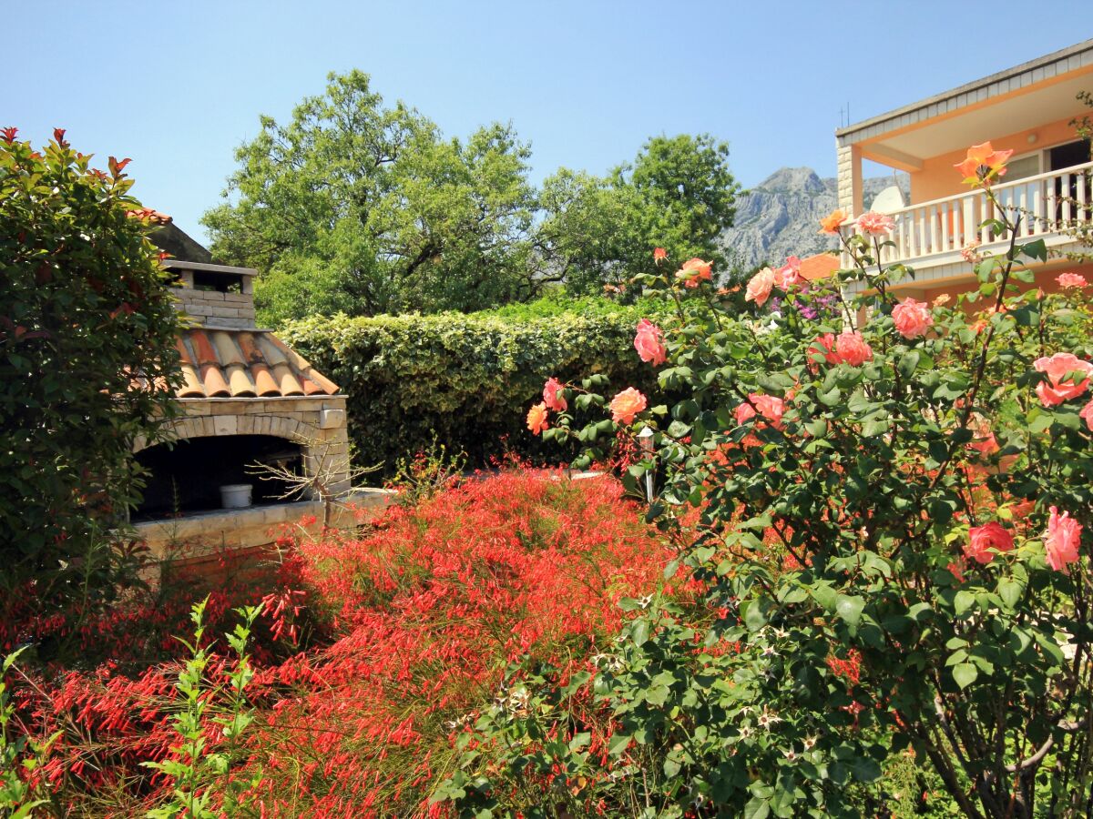Apartment Studio flat with terrace Orebić, Pelješac AS-641-e