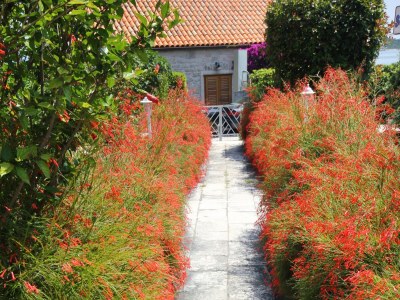 Apartment Studio flat with terrace Orebić, Pelješac AS-641-e - Outdoor photo 9