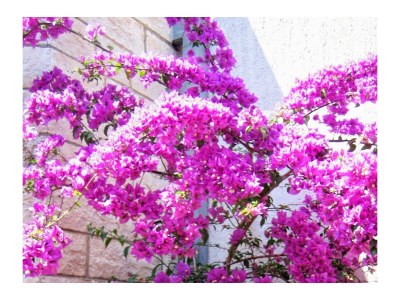 Apartment One bedroom apartment with terrace and sea view Mavarštica, Čiovo A-2053-b - Outdoor photo 12