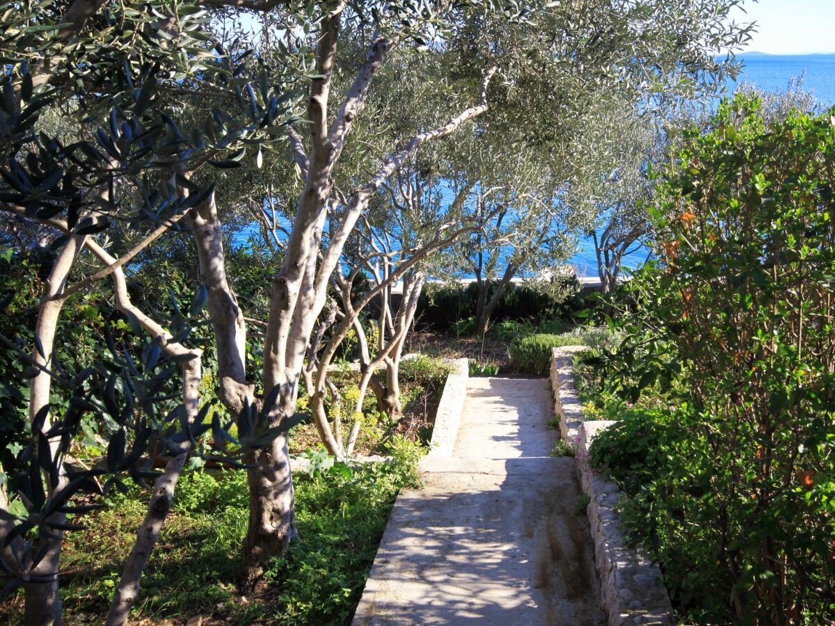 Apartment One bedroom apartment near beach Seget Vranjica, Trogir A-1051-c