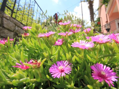 Apartment One bedroom apartment with terrace Medveja, Opatija A-2305-b - Outdoor photo 14