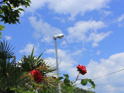 Apartment One bedroom apartment with terrace Medveja, Opatija A-2305-b - Outdoor photo 16