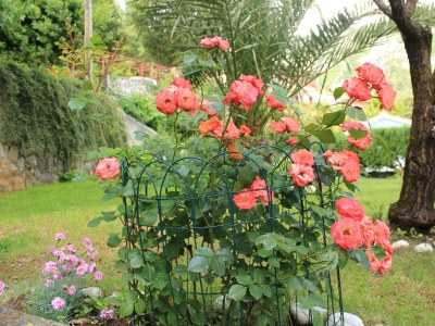 Apartment One bedroom apartment with terrace Medveja, Opatija A-2305-b - Outdoor photo 19