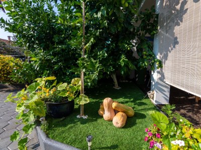 Apartment Studio flat with terrace Rovinj AS-2288-a - Outdoor photo 10