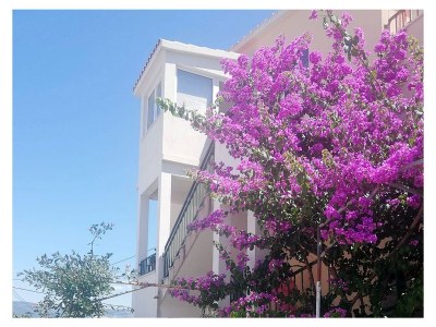 Apartment Four-bedroom apartment near beach Arbanija, Čiovo A-1122-a - Outdoor photo 6