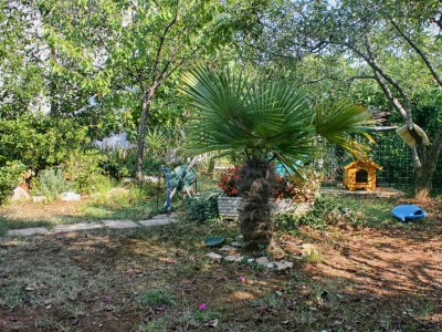 Apartment One bedroom apartment with balcony Poreč A-2285-a - Outdoor photo 6