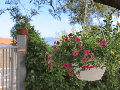 Apartment Two bedroom apartment with terrace and sea view Pisak, Omiš A-1008-a - Outdoor photo 12