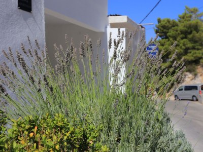 Apartment Two bedroom apartment with terrace and sea view Pisak, Omiš A-1008-a - Outdoor photo 15