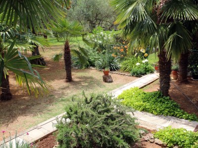 Apartment Two bedroom apartment with terrace Vodice A-928-a - Outdoor photo 5