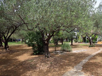 Apartment Two bedroom apartment with terrace Vodice A-928-a - Outdoor photo 8