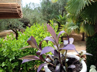 Apartment Two bedroom apartment with terrace Vodice A-928-a - Outdoor photo 28