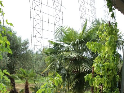 Apartment Two bedroom apartment with terrace Vodice A-928-a - Outdoor photo 29