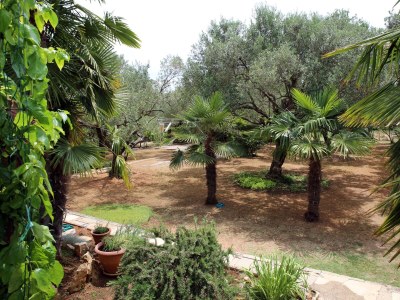 Apartment Two bedroom apartment with terrace Vodice A-928-a - Outdoor photo 32