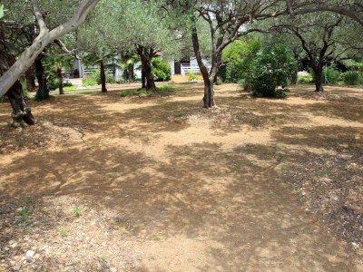 Apartment One bedroom apartment with terrace Vodice A-928-b - Outdoor photo 7