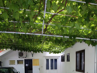 Apartment One bedroom apartment with terrace Vodice A-928-b - Outdoor photo 12