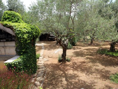 Apartment One bedroom apartment with terrace Vodice A-928-b - Outdoor photo 20