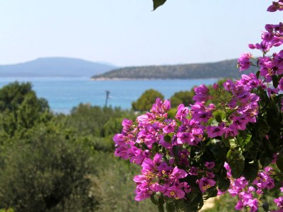 Apartment One bedroom apartment with terrace and sea view Slano, Dubrovnik A-2179-a - Outdoor photo 18