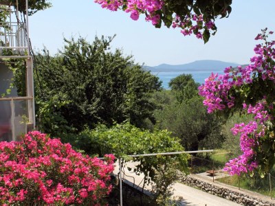 Apartment One bedroom apartment with terrace and sea view Slano, Dubrovnik A-2179-a - Outdoor photo 19