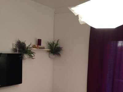 Apartment One bedroom apartment with terrace Slano, Dubrovnik A-2179-b - Outdoor photo 9