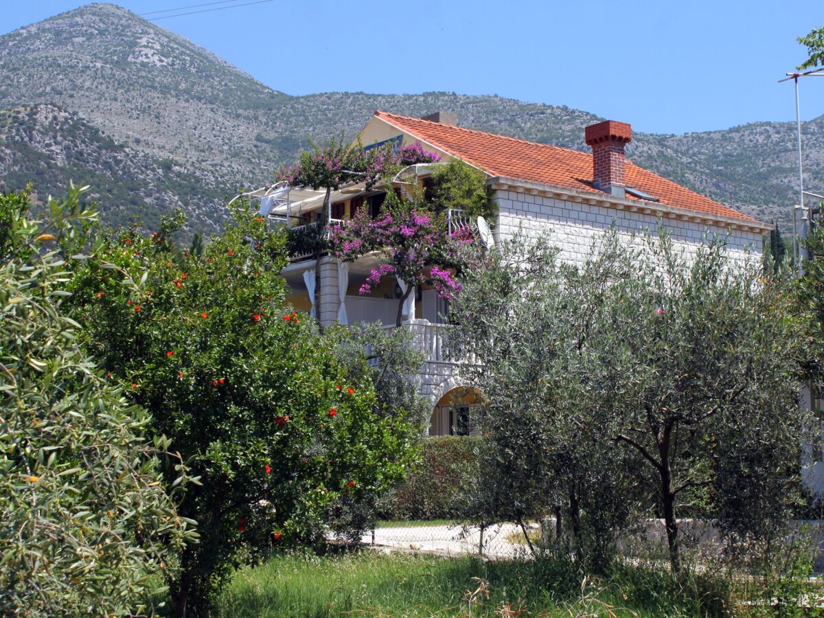 Holiday room with terrace and sea view Slano, Dubrovnik S-2179-a - Outdoor photo 4