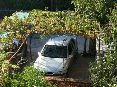 Apartment Two bedroom apartment with terrace and sea view Seget Vranjica, Trogir A-975-a - Outdoor photo 14