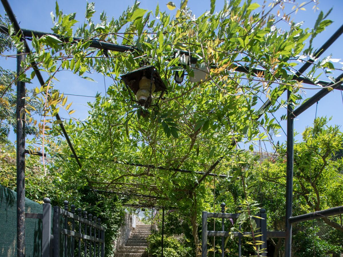 Holiday room with air-conditioning Lopud, Elafiti S-2169-a - Outdoor photo 3