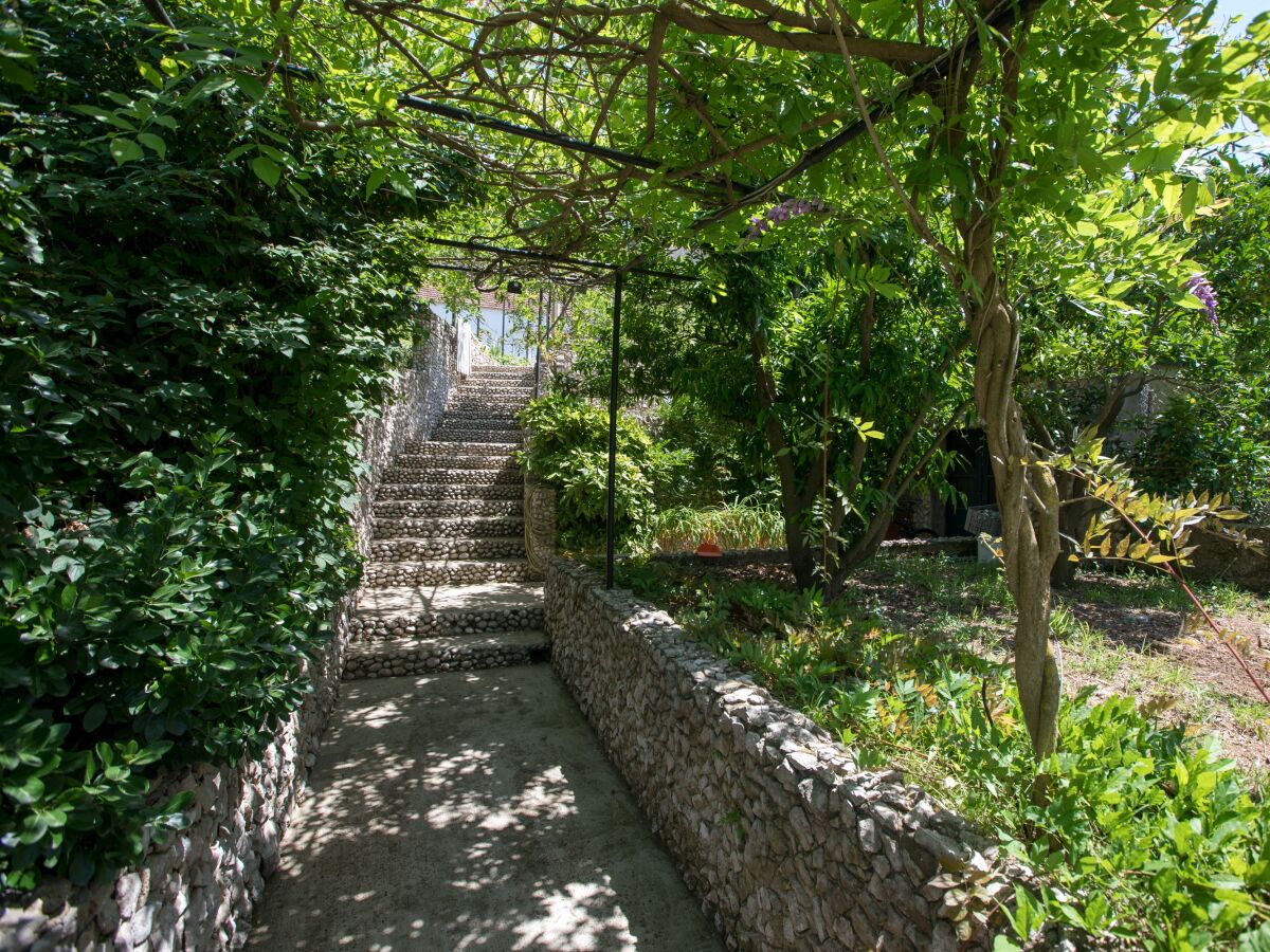 Holiday room with air-conditioning Lopud, Elafiti S-2169-a - Outdoor photo 4