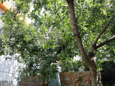 Apartment Two bedroom apartment with terrace and sea view Njivice, Krk A-2391-a - Outdoor photo 17