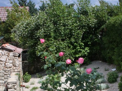 Apartment Two bedroom apartment with terrace and sea view Njivice, Krk A-2391-a - Outdoor photo 18