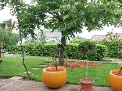 Apartment Two bedroom apartment with terrace and sea view Njivice, Krk A-2391-a - Outdoor photo 35