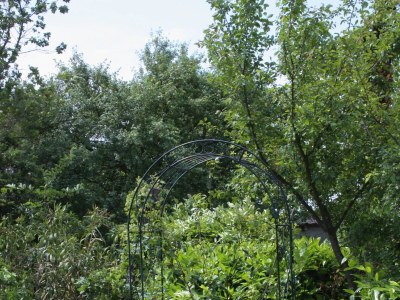 Apartment Two bedroom apartment with terrace Njivice, Krk A-2391-b - Outdoor photo 8