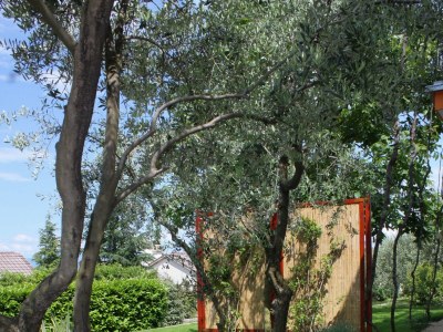 Apartment Two bedroom apartment with terrace Njivice, Krk A-2391-b - Outdoor photo 20