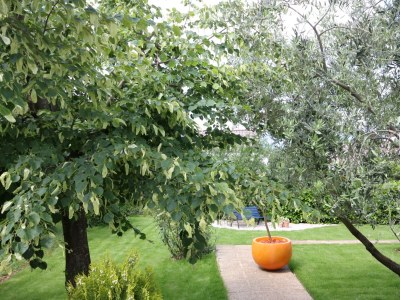 Apartment Two bedroom apartment with terrace Njivice, Krk A-2391-b - Outdoor photo 34