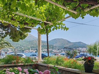 Apartment Studio flat with terrace Zaton Veliki, Dubrovnik AS-2107-b - Outdoor photo 3