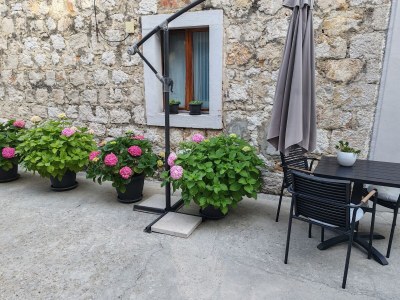 Apartment Studio flat with terrace Zaton Veliki, Dubrovnik AS-2107-b - Outdoor photo 11