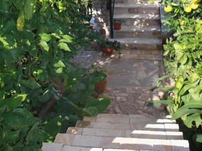 Apartment Two bedroom apartment with balcony and sea view Mastrinka, Čiovo A-2049-d - Outdoor photo 7