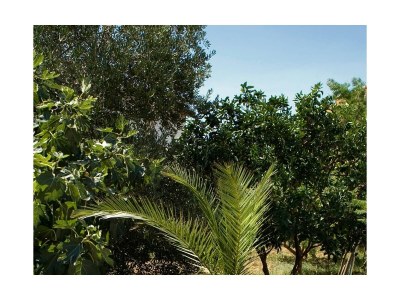 Apartment One bedroom apartment with terrace and sea view Rastići, Čiovo A-2104-b - Outdoor photo 12