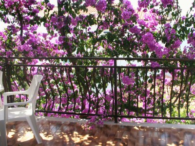 Apartment One bedroom apartment with terrace and sea view Rastići, Čiovo A-2104-b - Outdoor photo 28