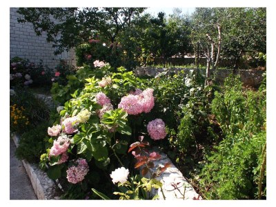 Apartment Studio flat with terrace and sea view Rastići, Čiovo AS-2104-b - Outdoor photo 12